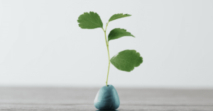 adwokat_warszawa, adwokat_śródmieście, prawo_pracy, kancelaria_warszawa, adwokat_spadki, adwokat_zachowek, 
kancelaria_śródmieście