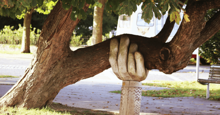 fot. Neil Thomas, źródło Unsplash